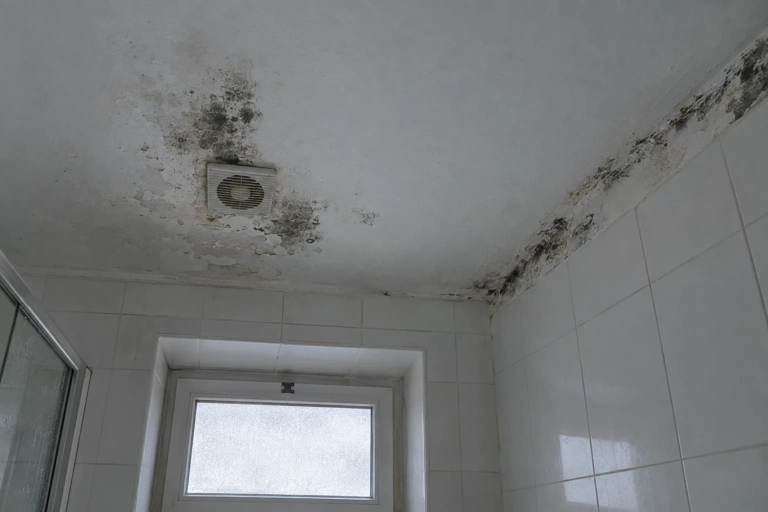 Teto de uma casa de banho com manchas escuras de bolor e tinta a descascar à volta de um pequeno extrator e ao longo do canto com a parede de azulejo