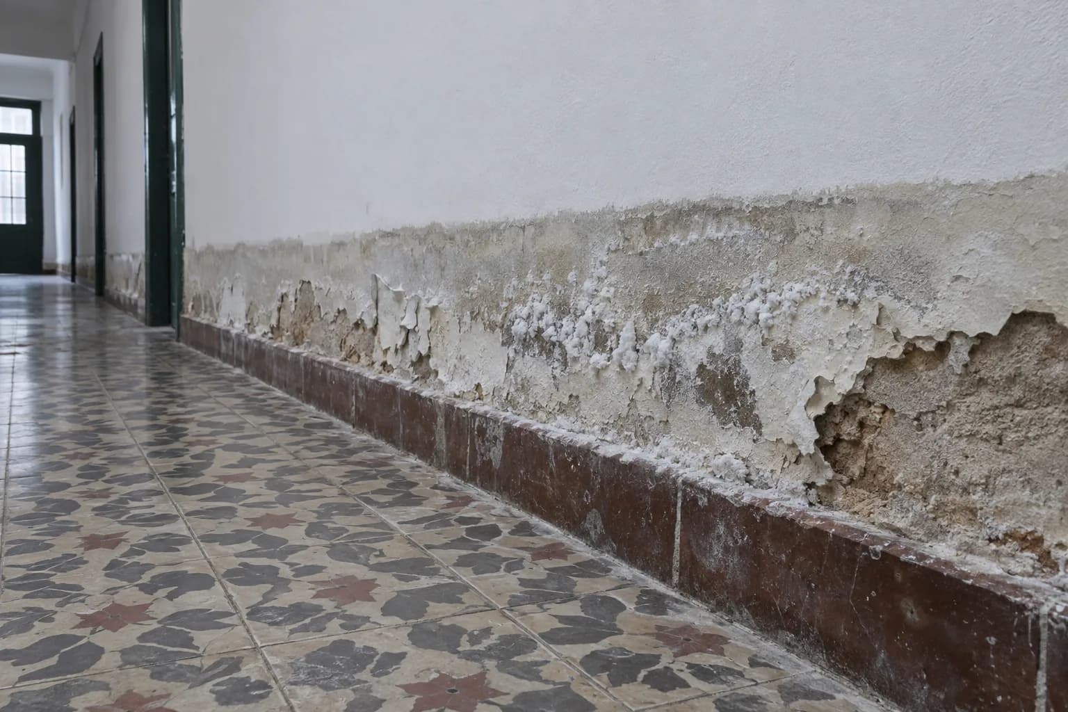 Corredor de uma casa antiga, com a base da parede marcada por uma linha de humidade, sais brancos, tinta a empolar e reboco a desfazer-se acima do rodapé