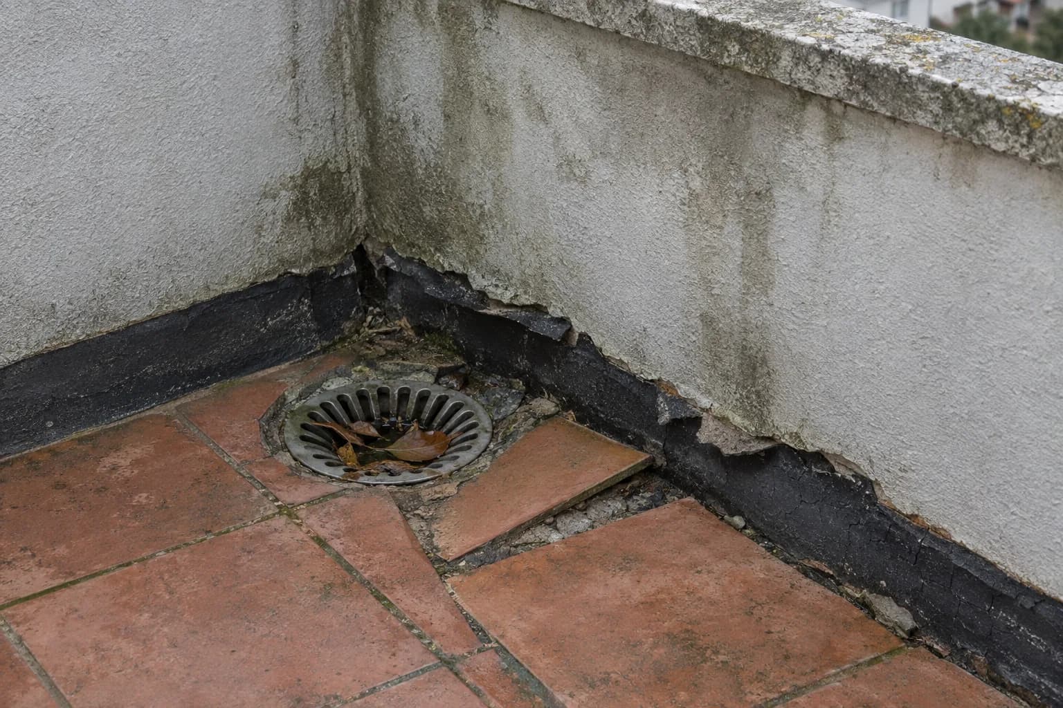 Canto de um terraço com um ralo de grelha metálica com folhas, tela preta velha a descolar na base da parede e ladrilhos de barro soltos
